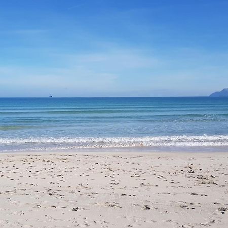 Ideal Property Mallorca - Sa Vinya Vella Alcúdia Eksteriør bilde