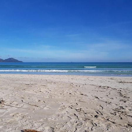 Ideal Property Mallorca - Sa Vinya Vella Alcúdia Eksteriør bilde