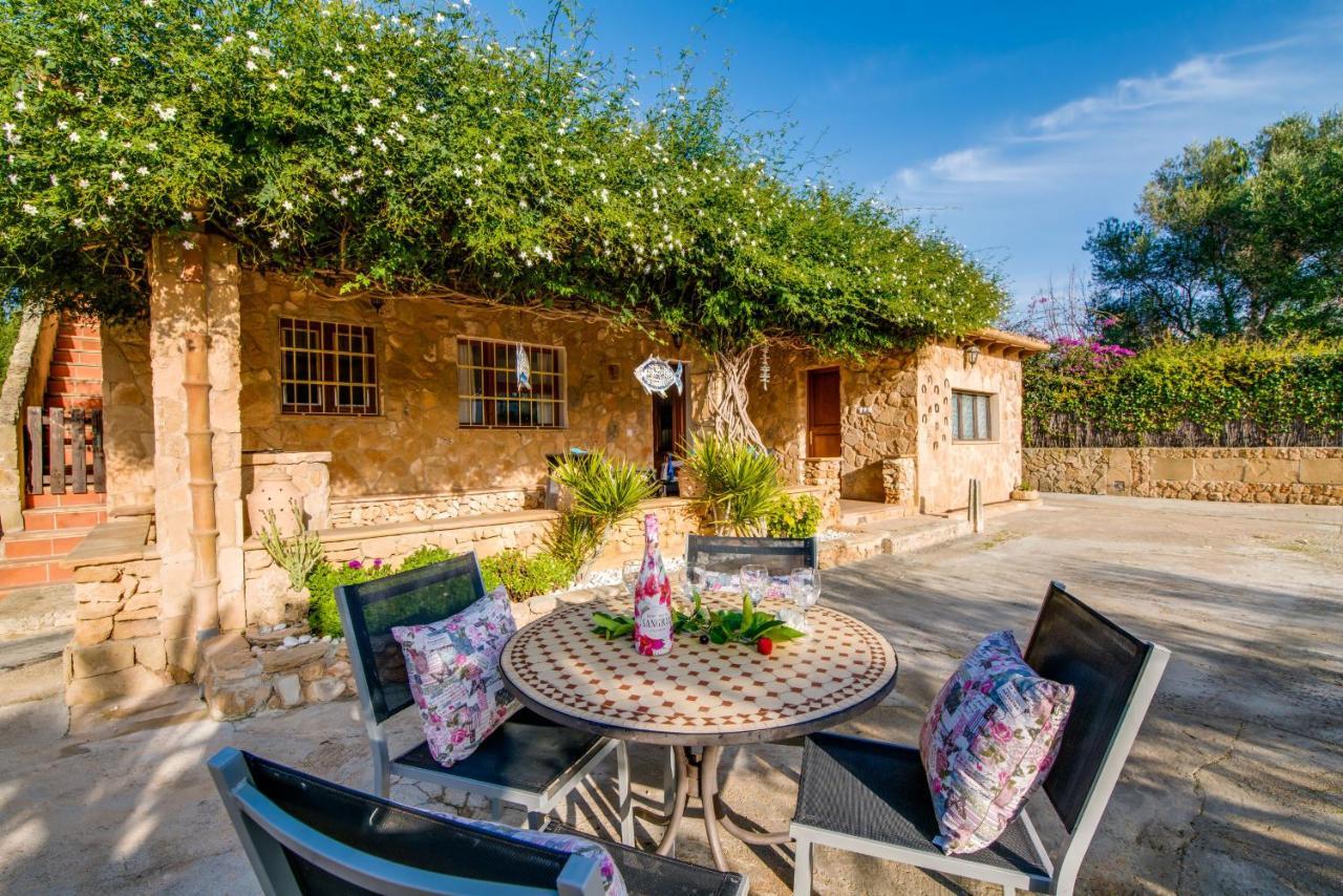 Ideal Property Mallorca - Sa Vinya Vella Alcúdia Eksteriør bilde