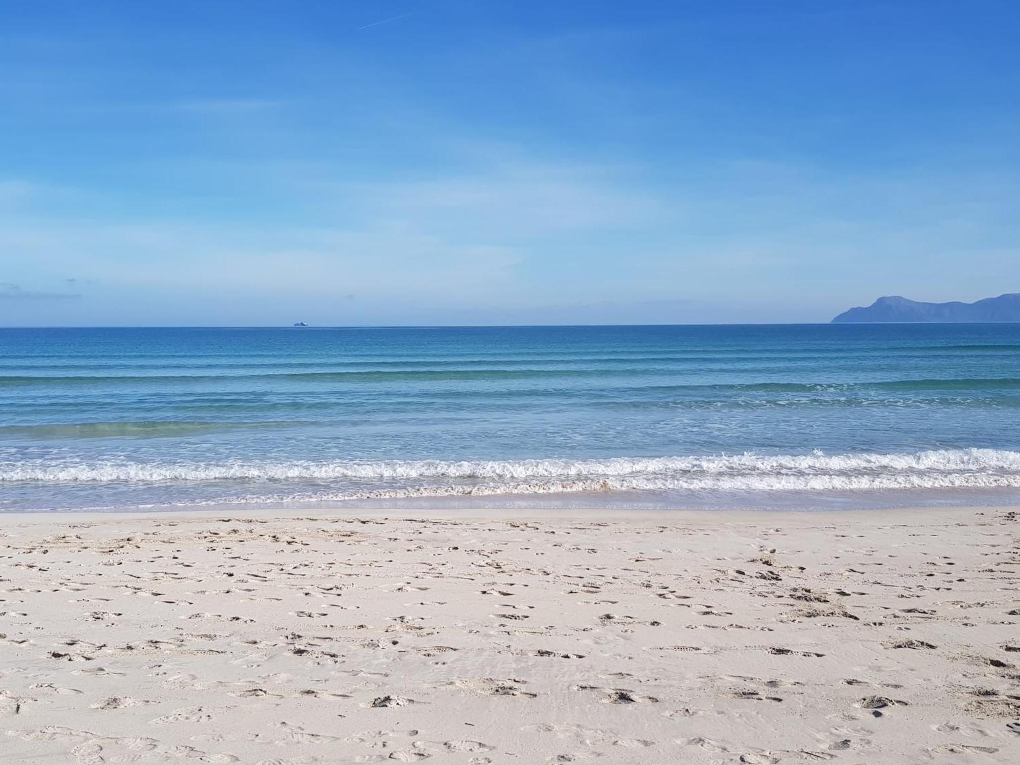 Ideal Property Mallorca - Sa Vinya Vella Alcúdia Eksteriør bilde
