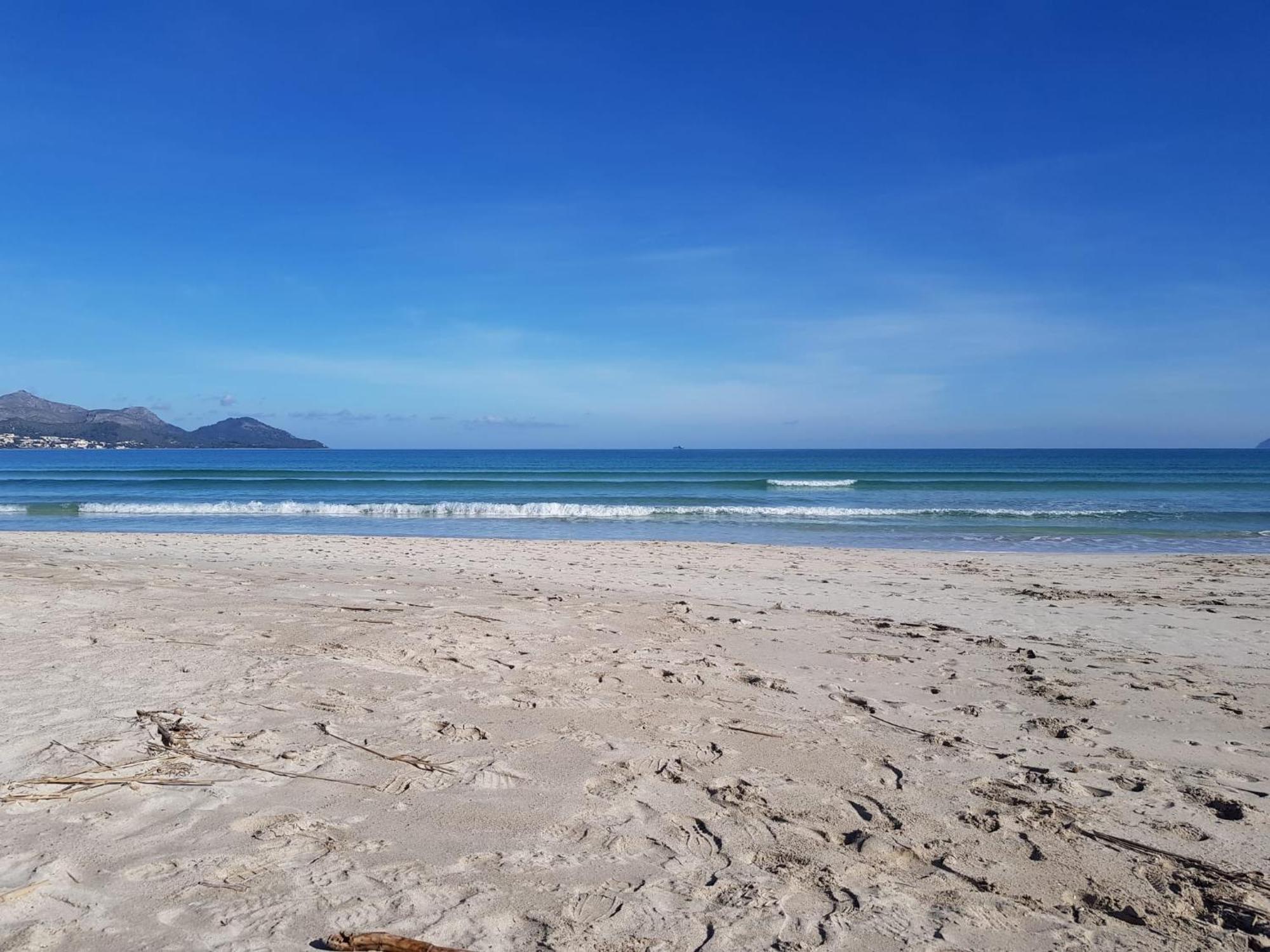 Ideal Property Mallorca - Sa Vinya Vella Alcúdia Eksteriør bilde
